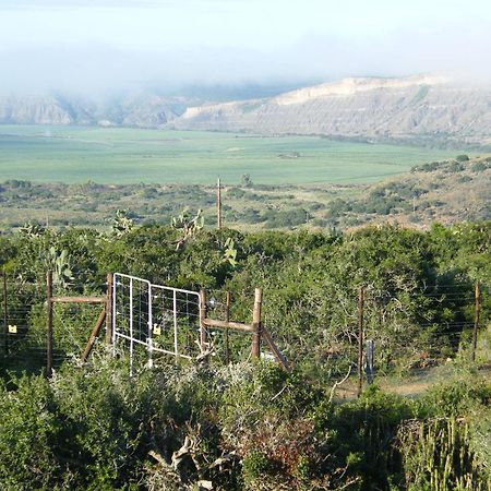 Kudu Ridge Game Lodge Addo Exterior photo