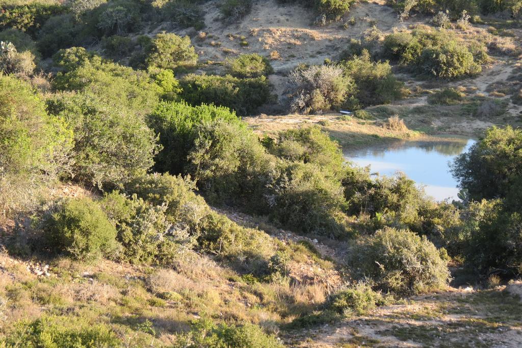 Kudu Ridge Game Lodge Addo Exterior photo