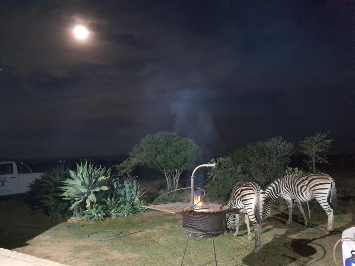Kudu Ridge Game Lodge Addo Exterior photo
