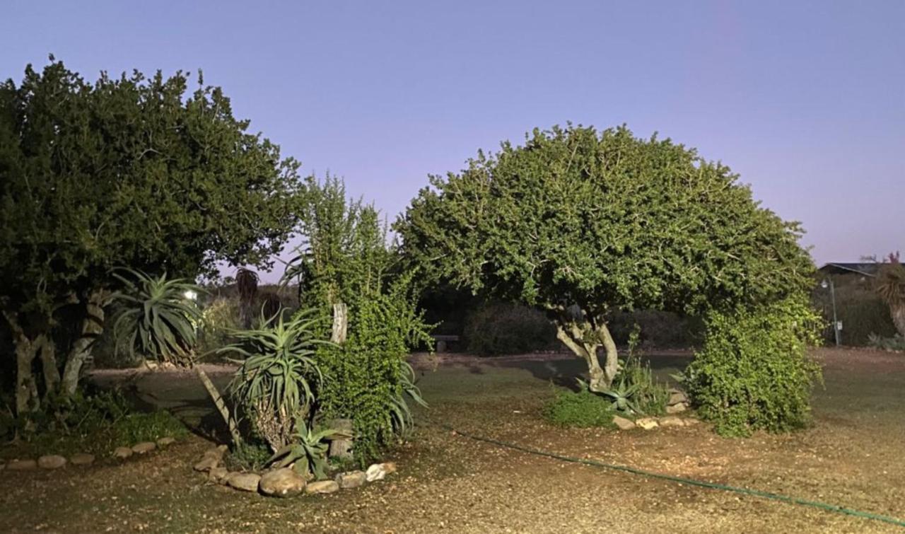 Kudu Ridge Game Lodge Addo Exterior photo