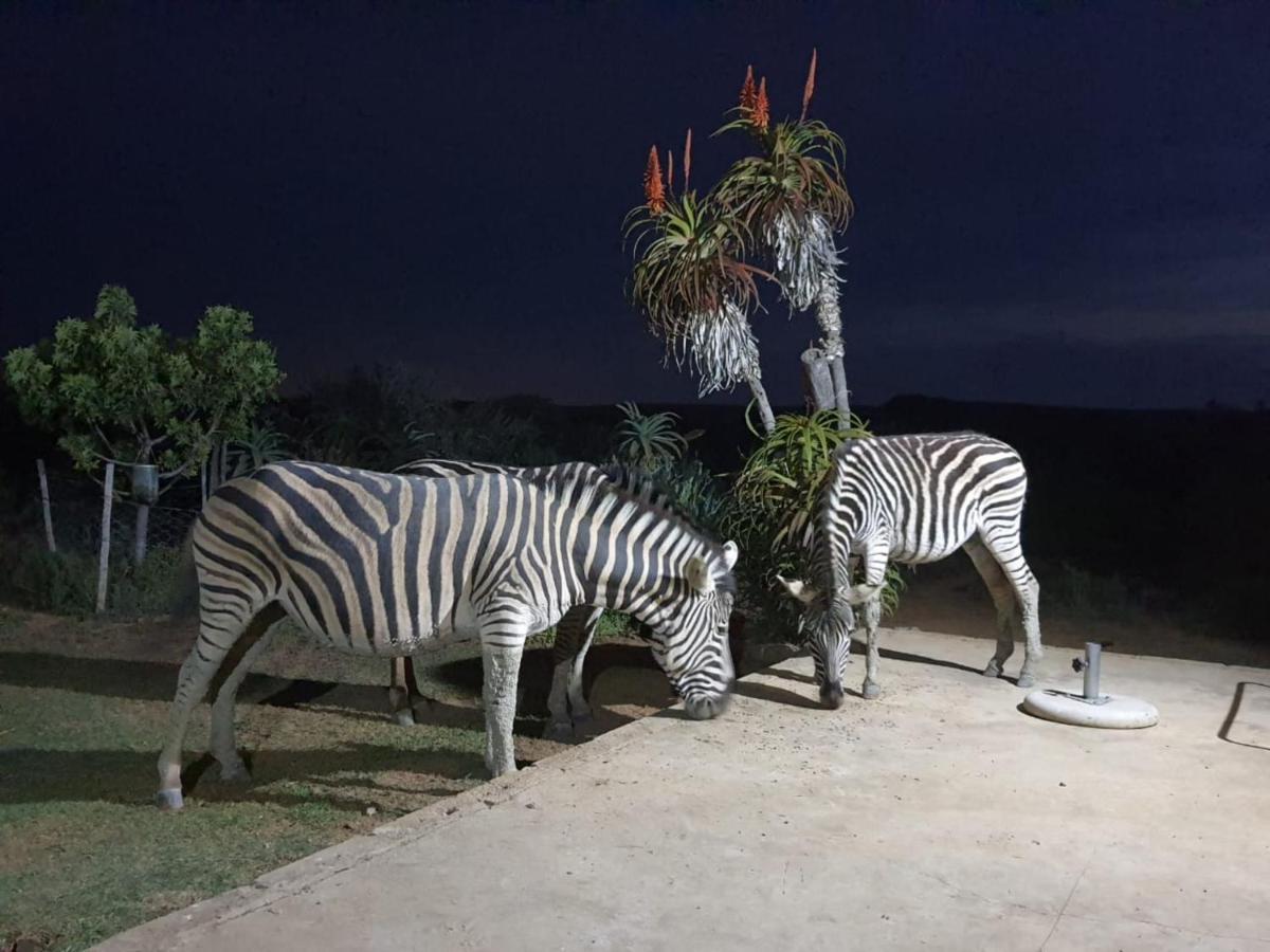 Kudu Ridge Game Lodge Addo Exterior photo