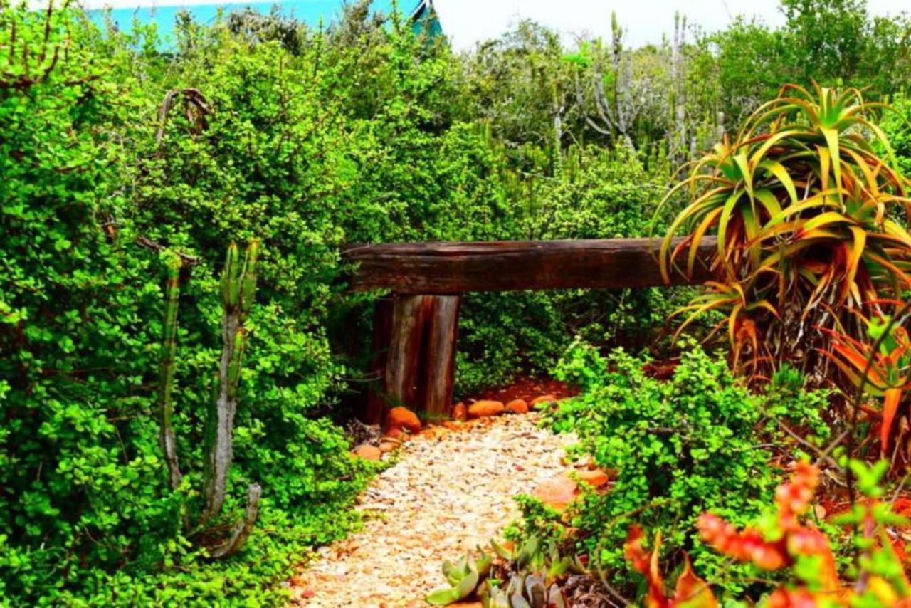 Kudu Ridge Game Lodge Addo Exterior photo