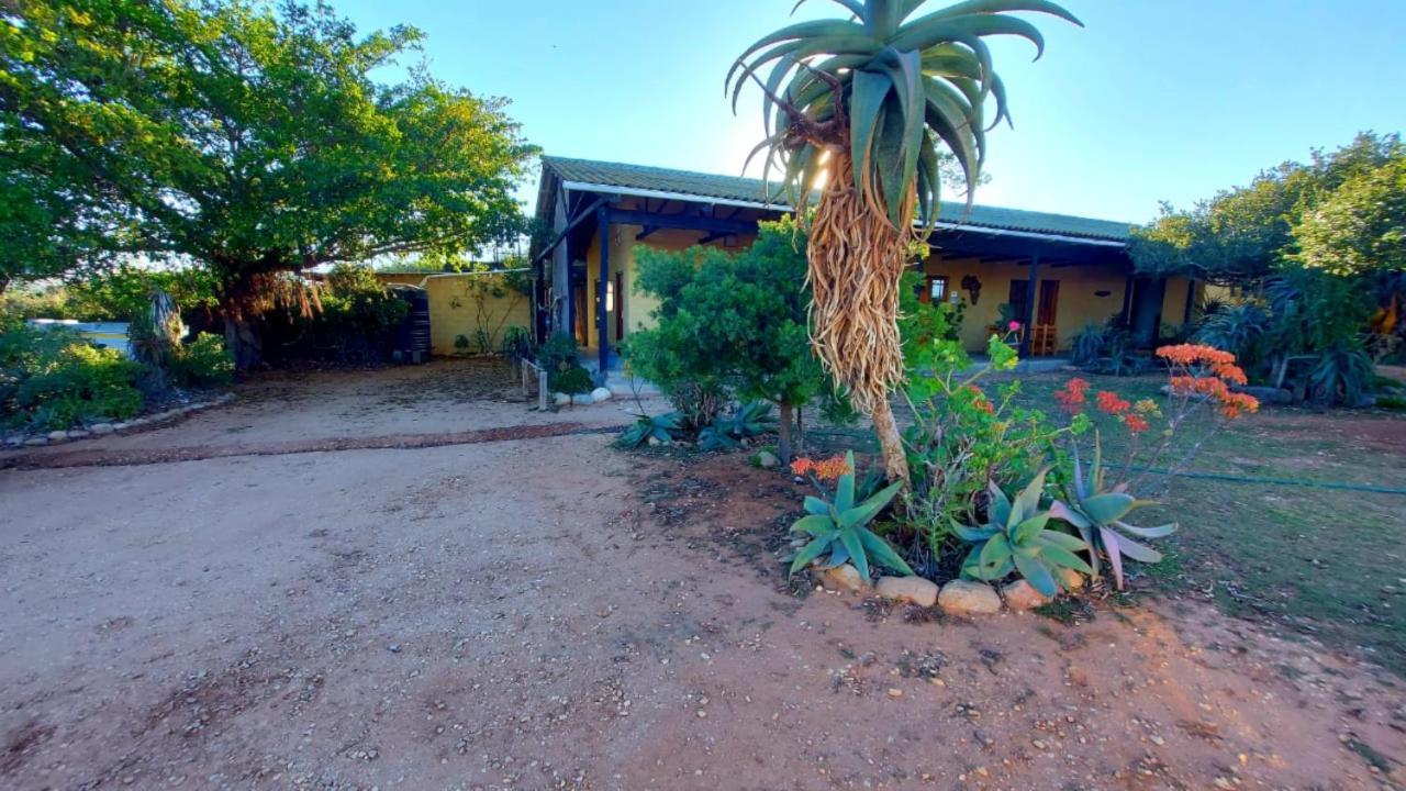 Kudu Ridge Game Lodge Addo Exterior photo