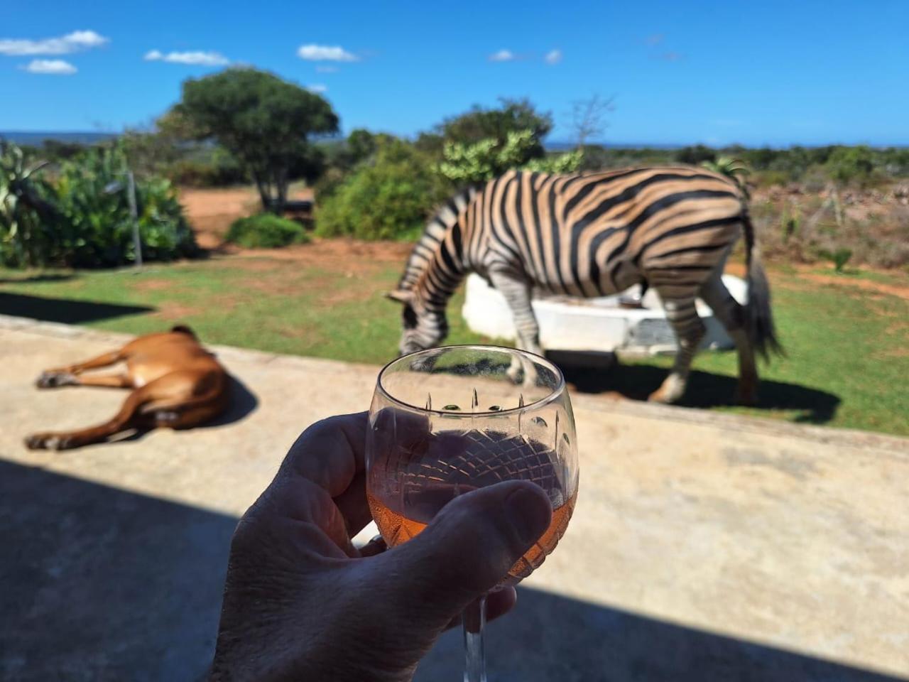 Kudu Ridge Game Lodge Addo Exterior photo
