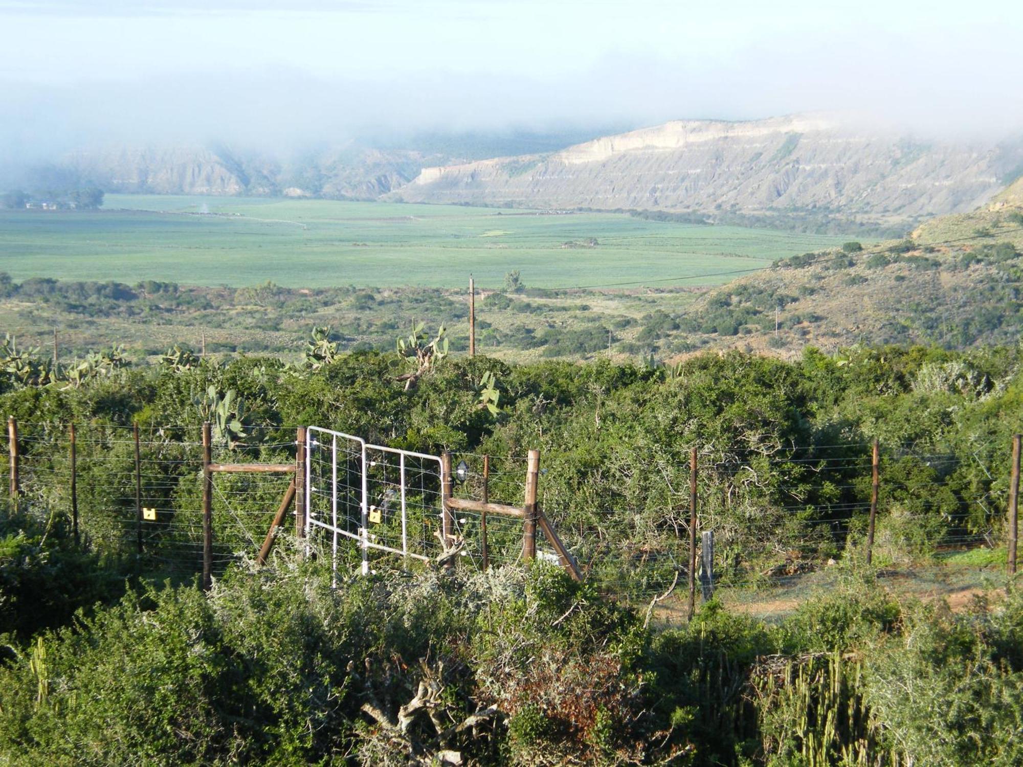 Kudu Ridge Game Lodge Addo Exterior photo