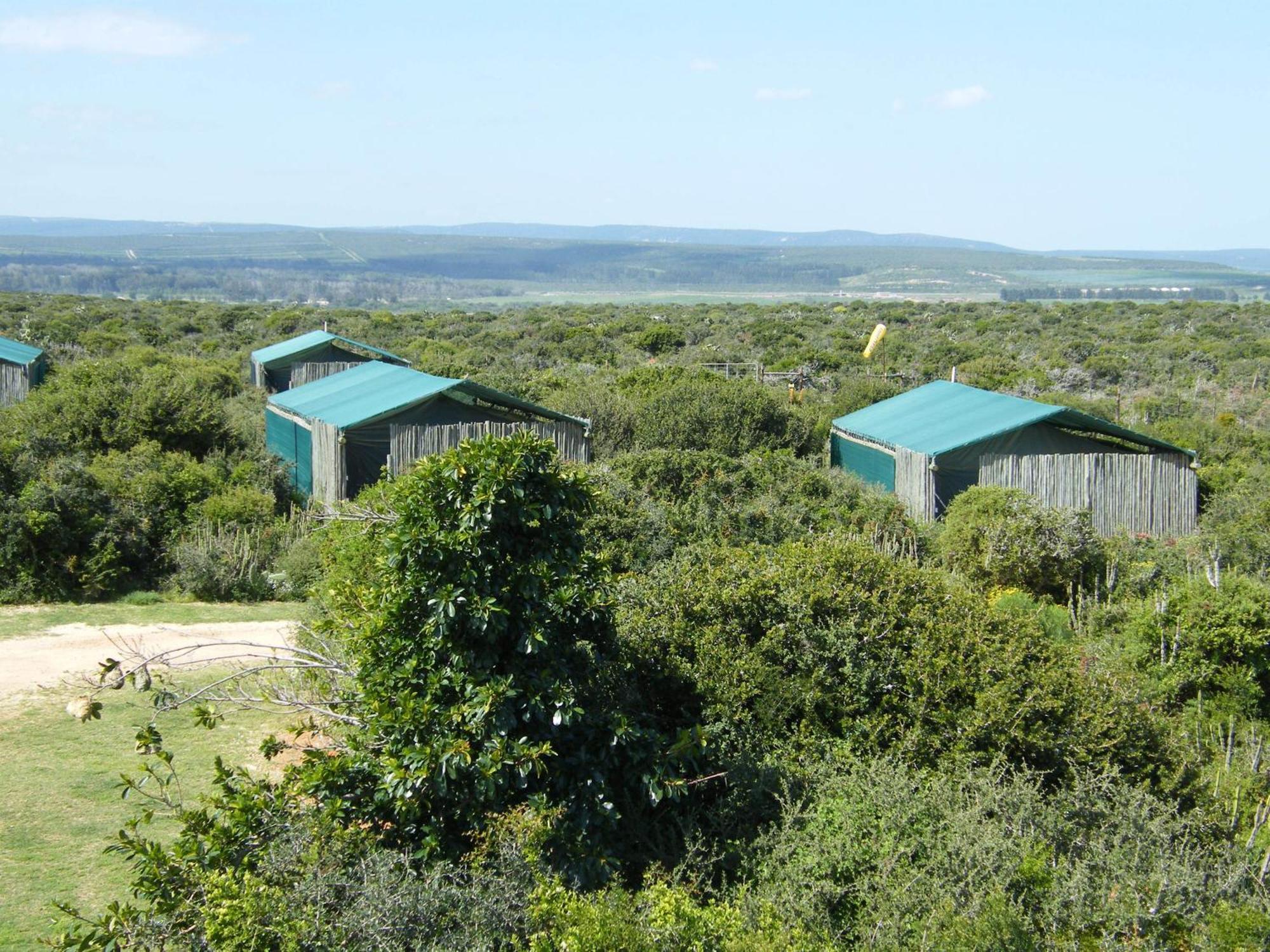 Kudu Ridge Game Lodge Addo Room photo