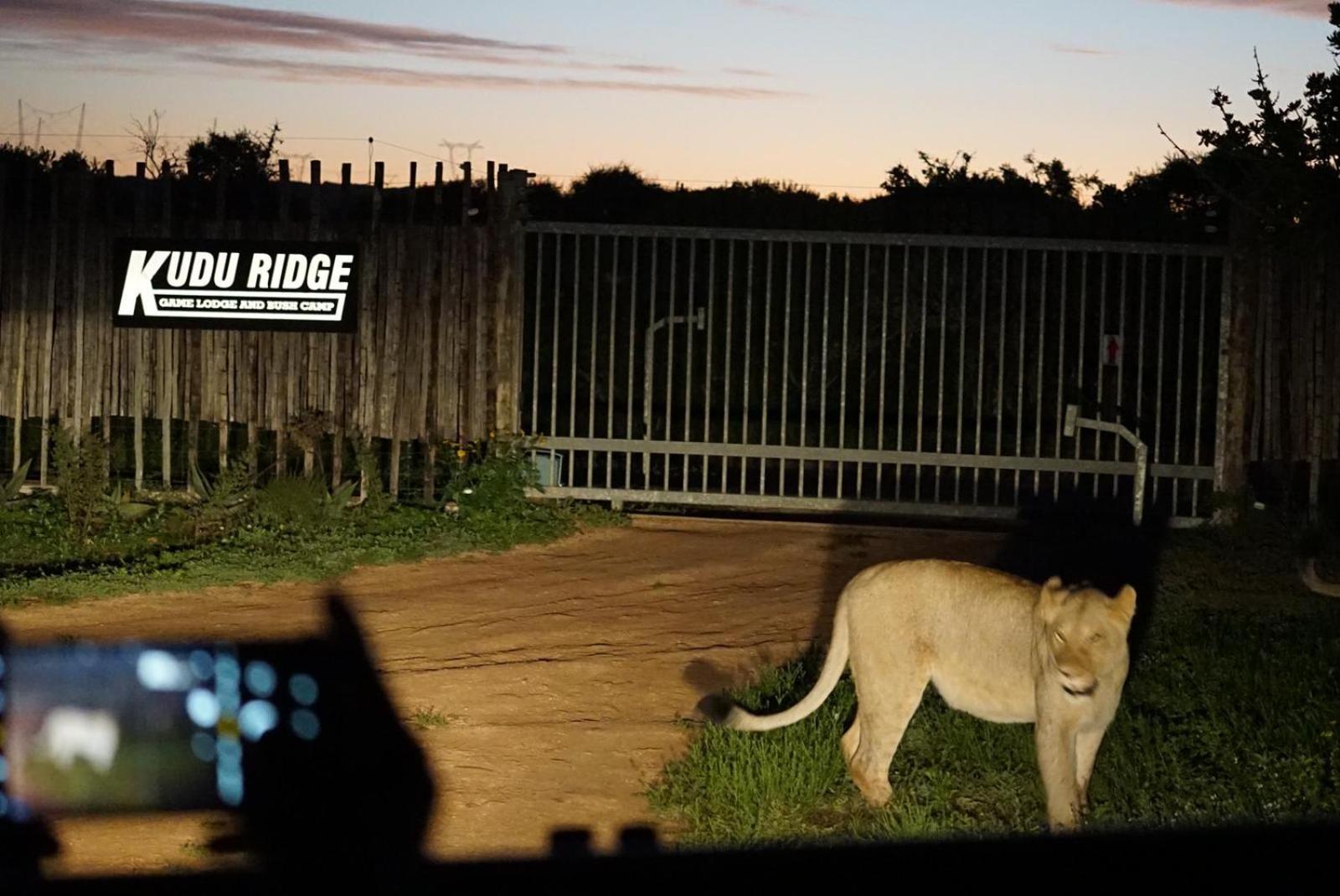 Kudu Ridge Game Lodge Addo Exterior photo